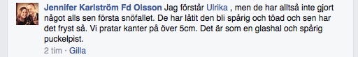 Från Facebookgruppen Cykla i Stockholm