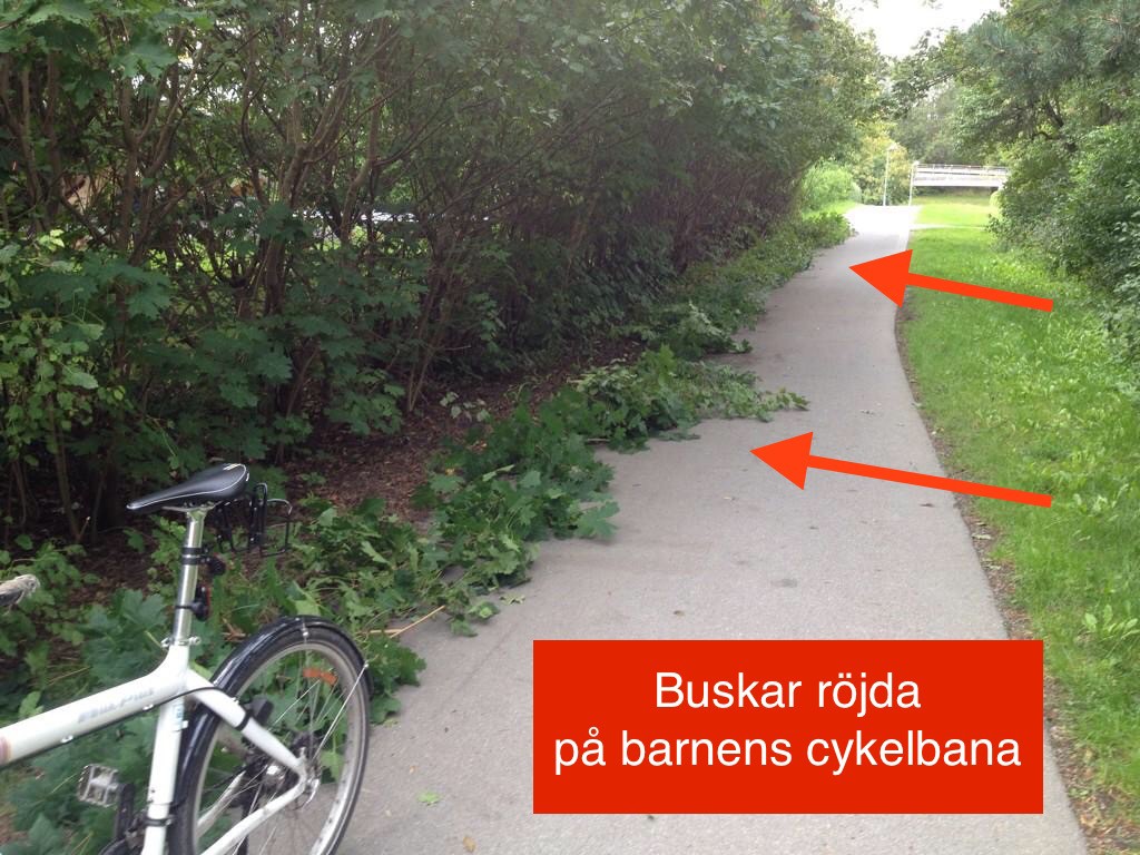 Klipper buskar Hässelby lokalt text